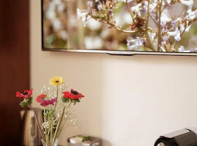 撒丁尼亚多莫斯酒店 住宿加早餐酒店 3*